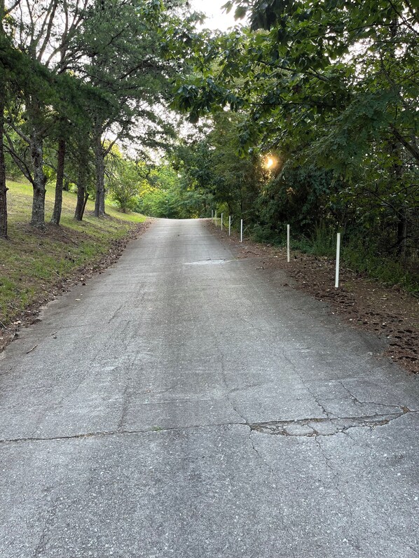 Un sendero pavimentado bordeado por árboles y postes blancos, que se adentra en un área boscosa.