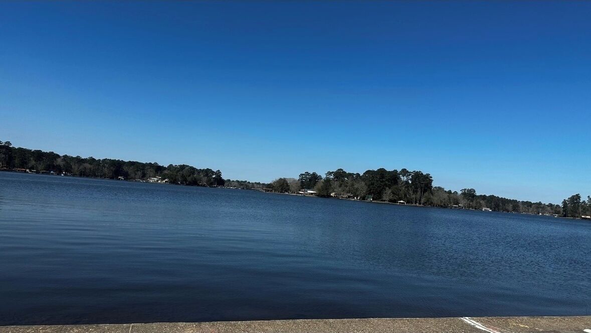 Een kalm meer met een helderblauwe lucht en een oever beplant met bomen.