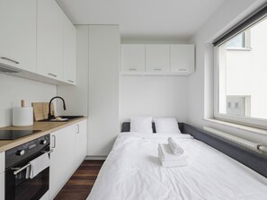 Iron/ironing board, WiFi, bed sheets - Warta River Cozy Vibe Studio (Poznan)