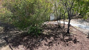 A garden area with trees and mulch, a paved walkway, and a building with a sloped roof in the background. - Charming farmhouse in Price (Price)