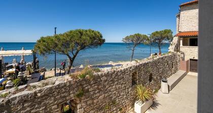 Apartment Studio Bura (Istria - Umag)