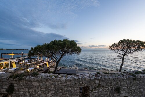 Apartment Studio Jugo (Istria - Umag)