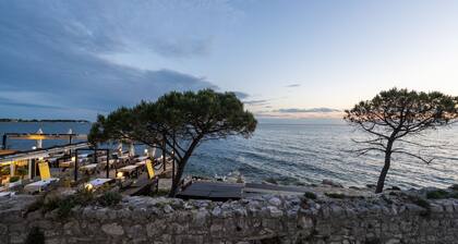 Apartment Studio Jugo (Istria - Umag)
