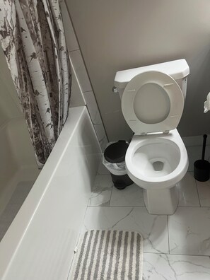 Hair dryer, towels, soap, toilet paper