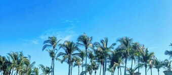 Acapulco new and cozy apartment with free beach club!!!