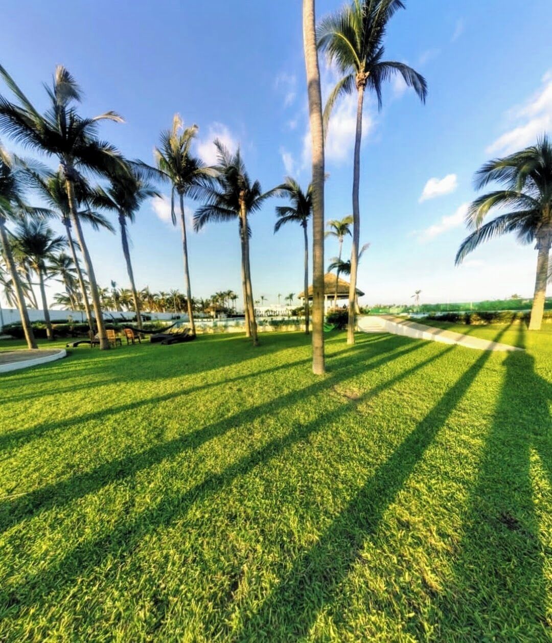 Overnattingsstedets uteområder