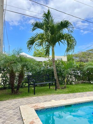 Pool - Villa MariposaModern&Lux Swimming Pool (Puerto Plata)