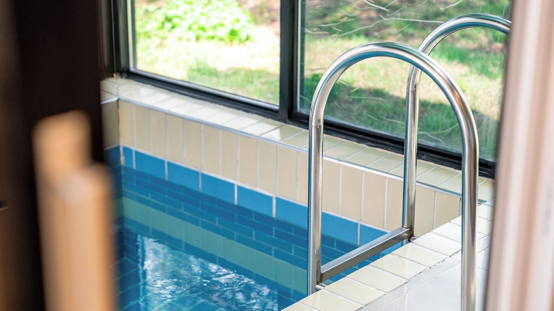 A swimming pool with a metal ladder and a view of greenery outside.
