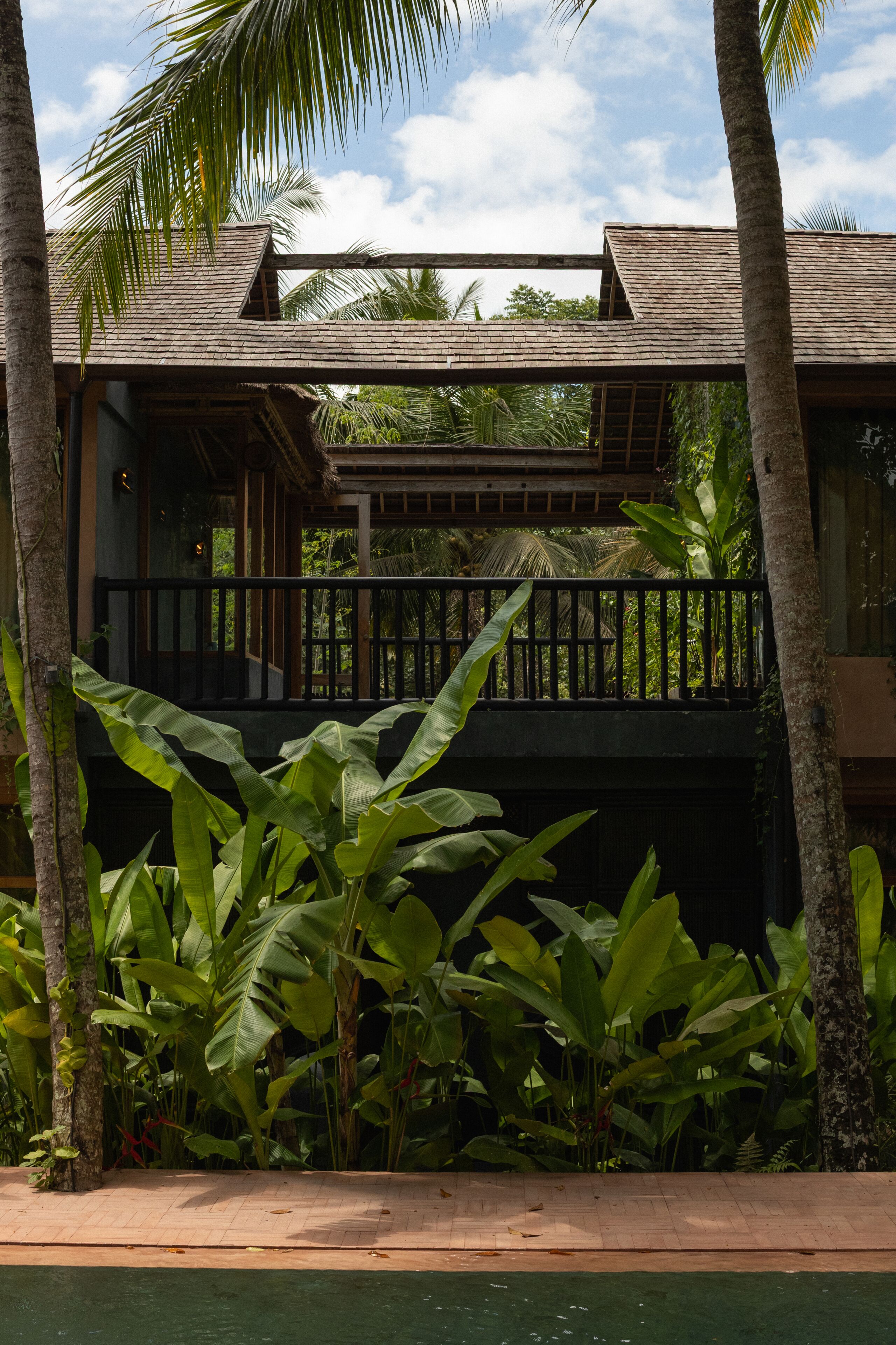 Pemandangan taman