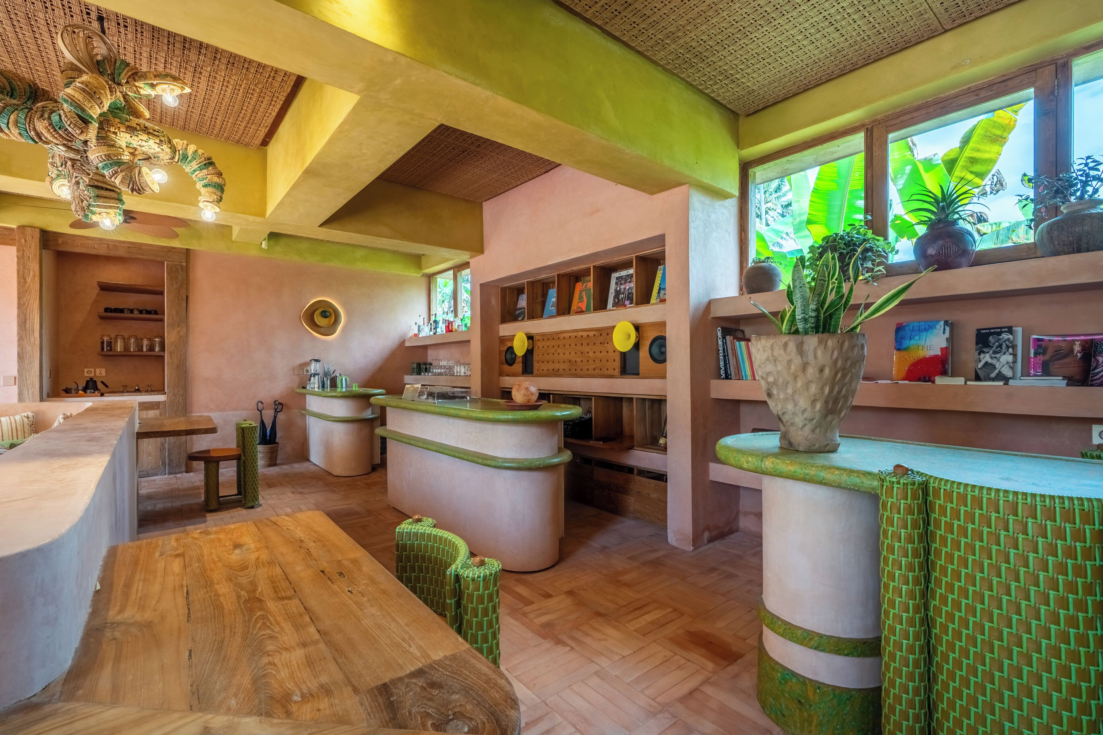 A reception area with a wooden reception desk, a counter, and shelves with plants and books.