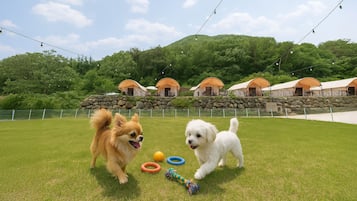 Basic szoba, 1 hálószobával (Glamping 04 (BBQ/Private Pool)) | 1 hálószoba és ingyenes wifi