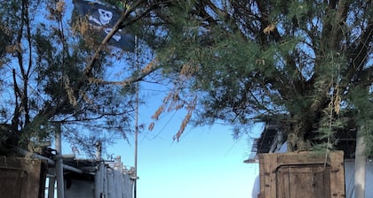 Tiny house on the beach