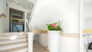 A modern interior with a staircase, a potted plant, and a kitchen area.