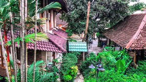 A lush garden with a stone pathway, bamboo plants, and traditional buildings with tiled roofs.