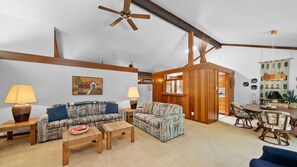 電視、壁爐、DVD 播放機、書籍