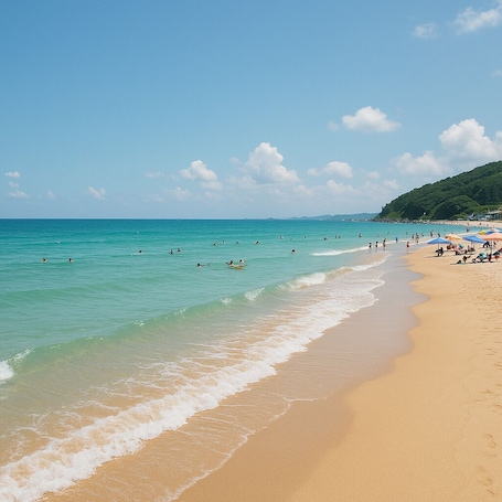 Playa en los alrededores