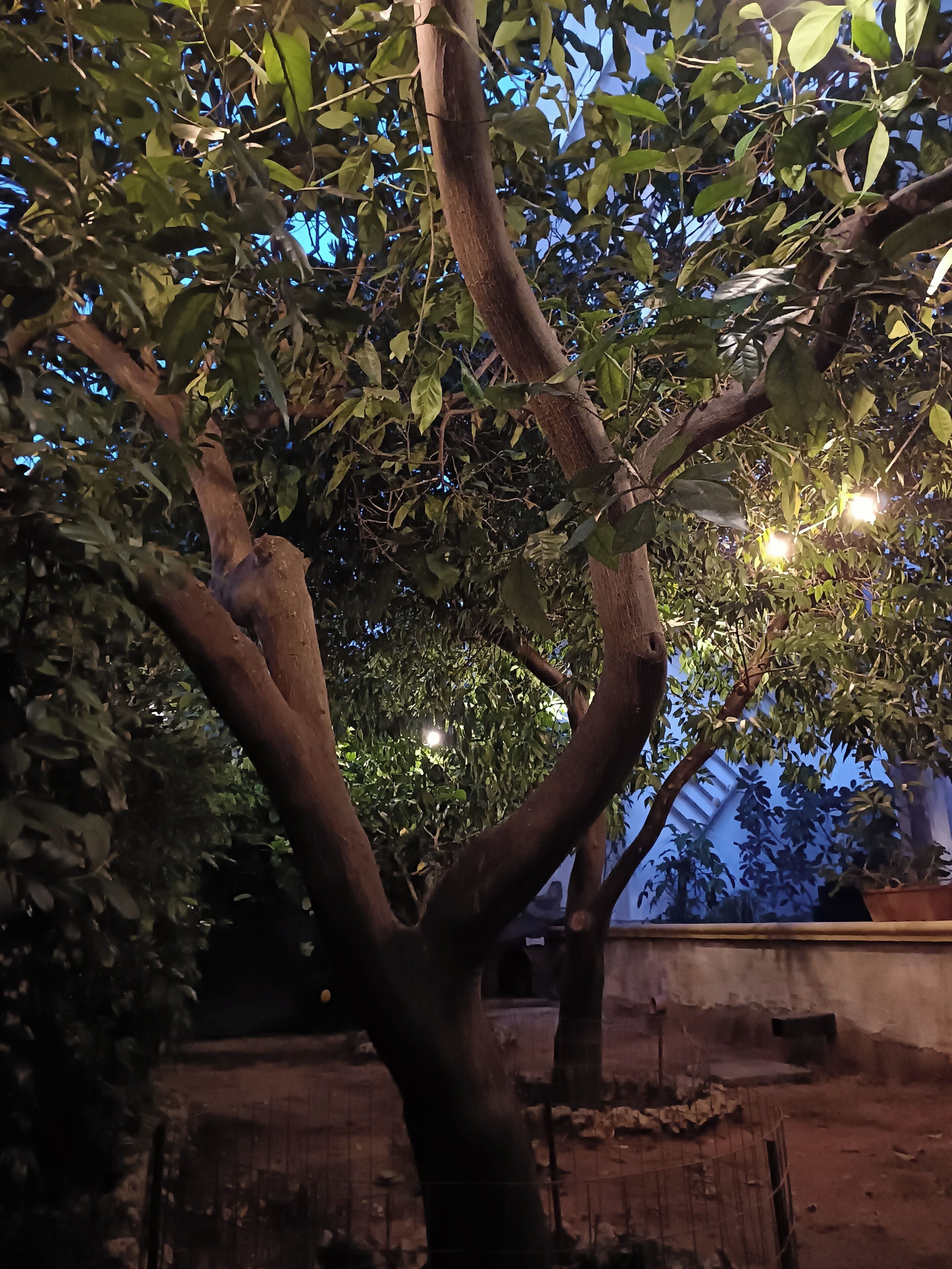 Overnattingsstedets uteområder