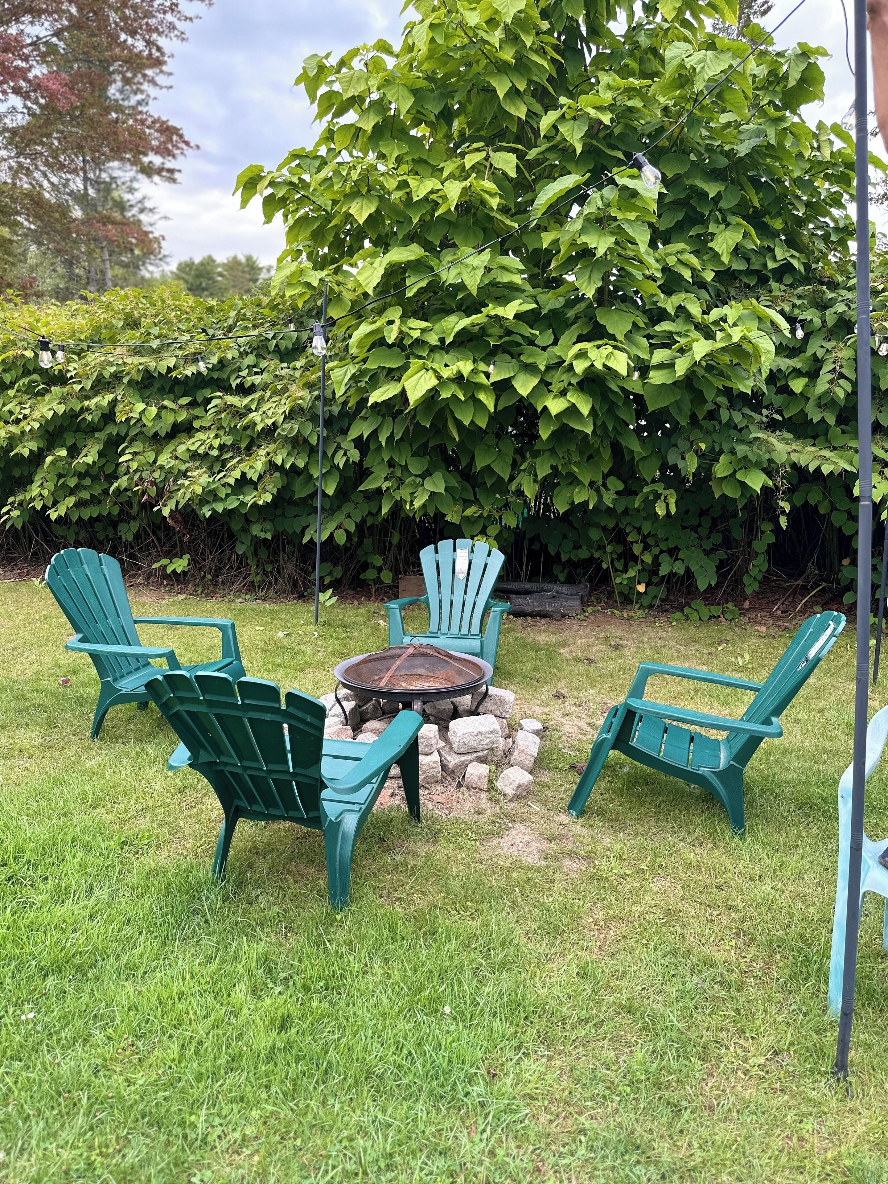 Áreas de la propiedad