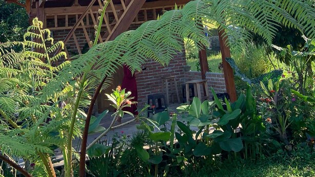 A wooden house with a balcony, surrounded by lush greenery and palm trees. - Tetebatu rice field bliss (West Nusa Tenggara)
