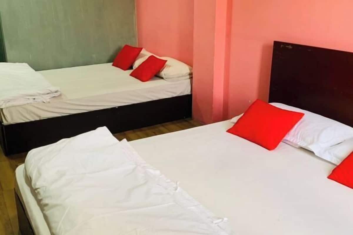 Iron/ironing board (on request), WiFi (free), bed sheets