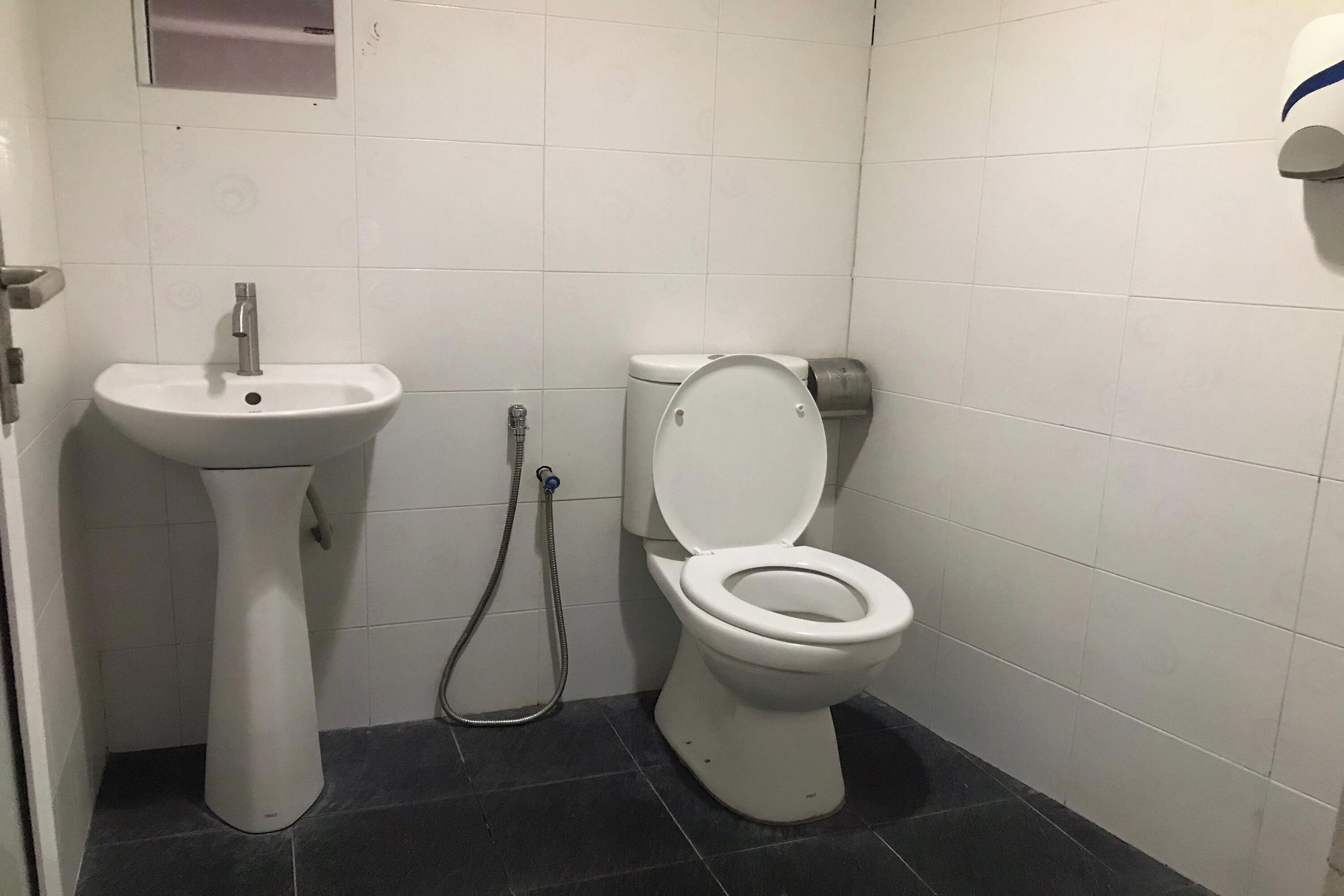 A small, clean bathroom with a pedestal sink, toilet, and a handheld showerhead.