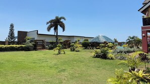 A well-maintained lawn with various potted plants and a palm tree.