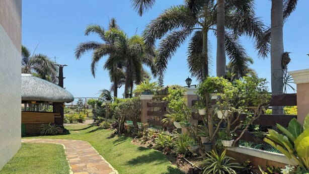 A well-maintained garden with a stone pathway, palm trees, and various plants.