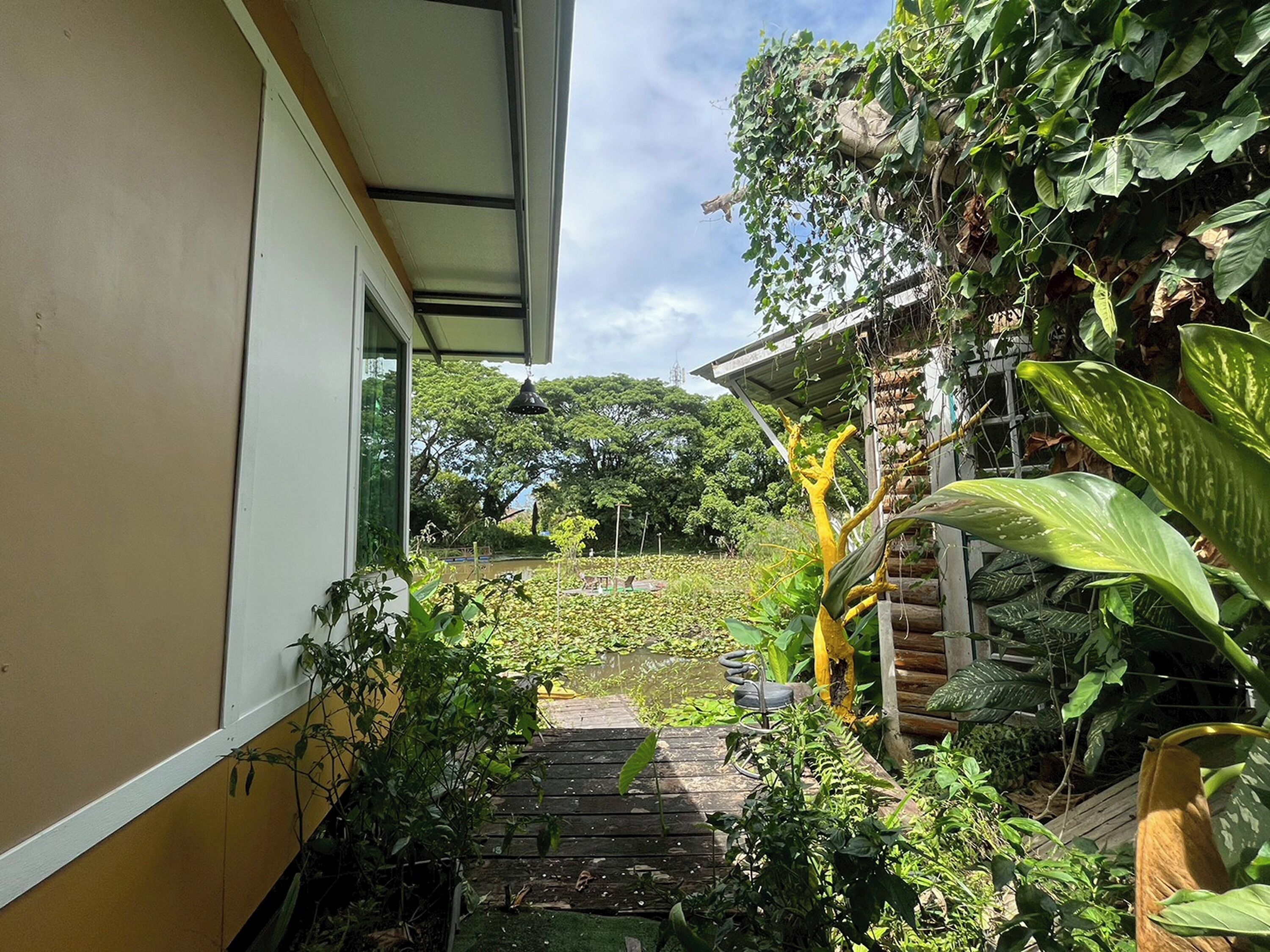 A narrow pathway leading to a lush garden with dense foliage and a wooden structure.
