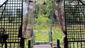 A covered outdoor area with a metal gate, a red pathway, and a view of greenery and trees. - Saikaew Resort (Chiang Rai)