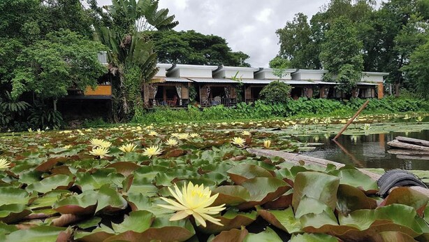 A building with a traditional architectural style, surrounded by lush greenery and a pond with water lilies. - Saikaew Resort (Chiang Rai)