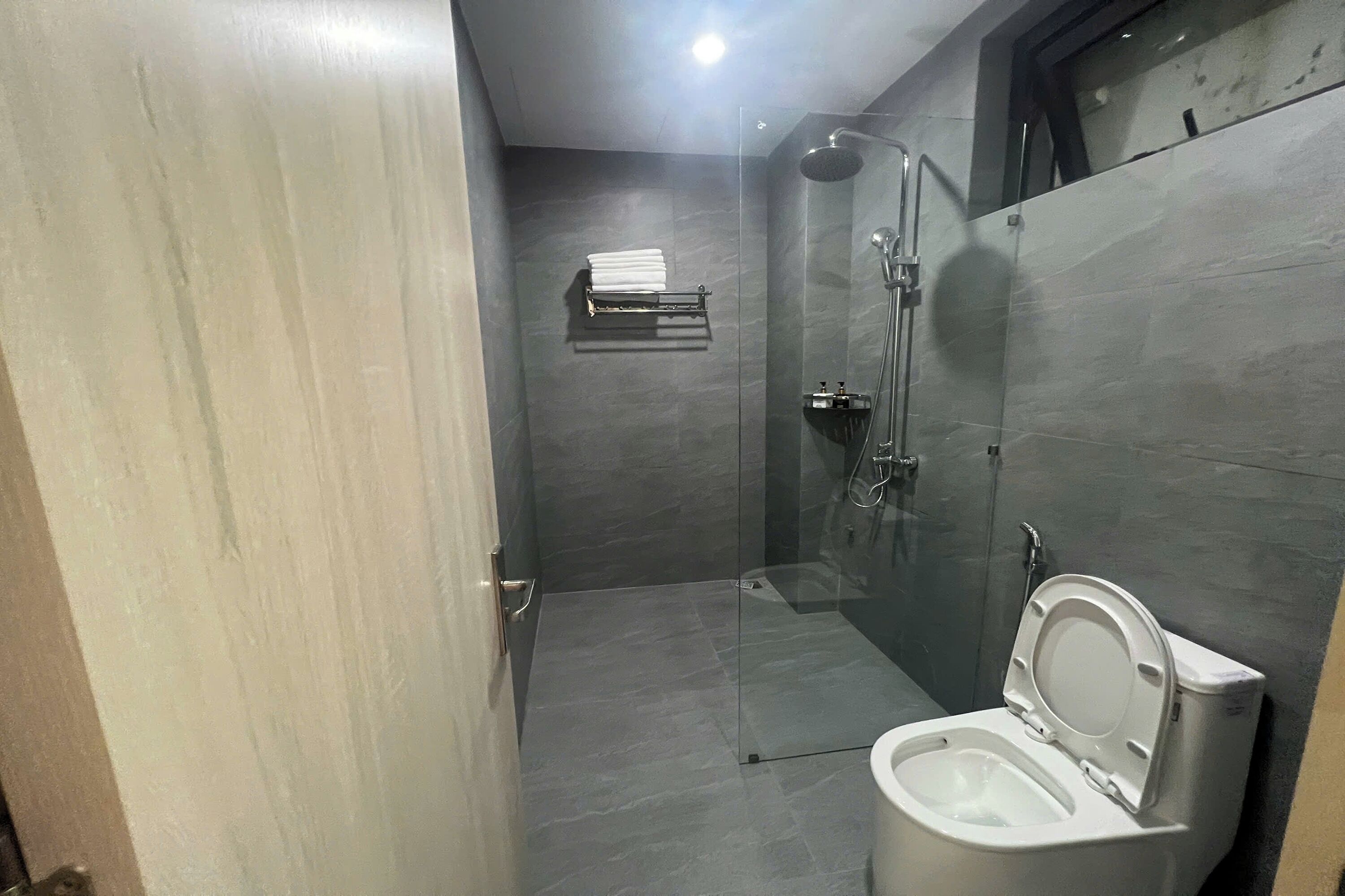 A modern bathroom with a glass-enclosed shower, a toilet, and a towel rack.