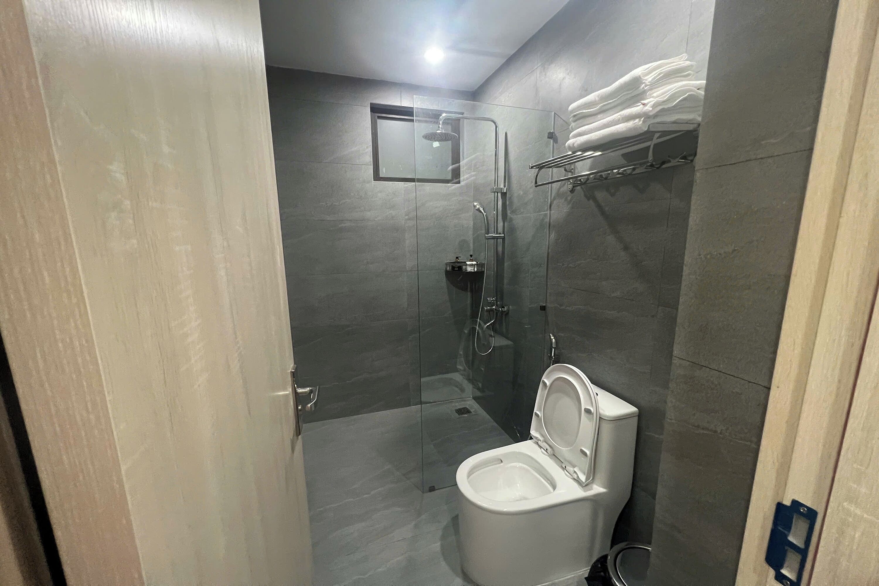 A modern bathroom with a glass-enclosed shower, a toilet, and a towel rack.