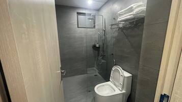A modern bathroom with a glass-enclosed shower, a toilet, and a towel rack.