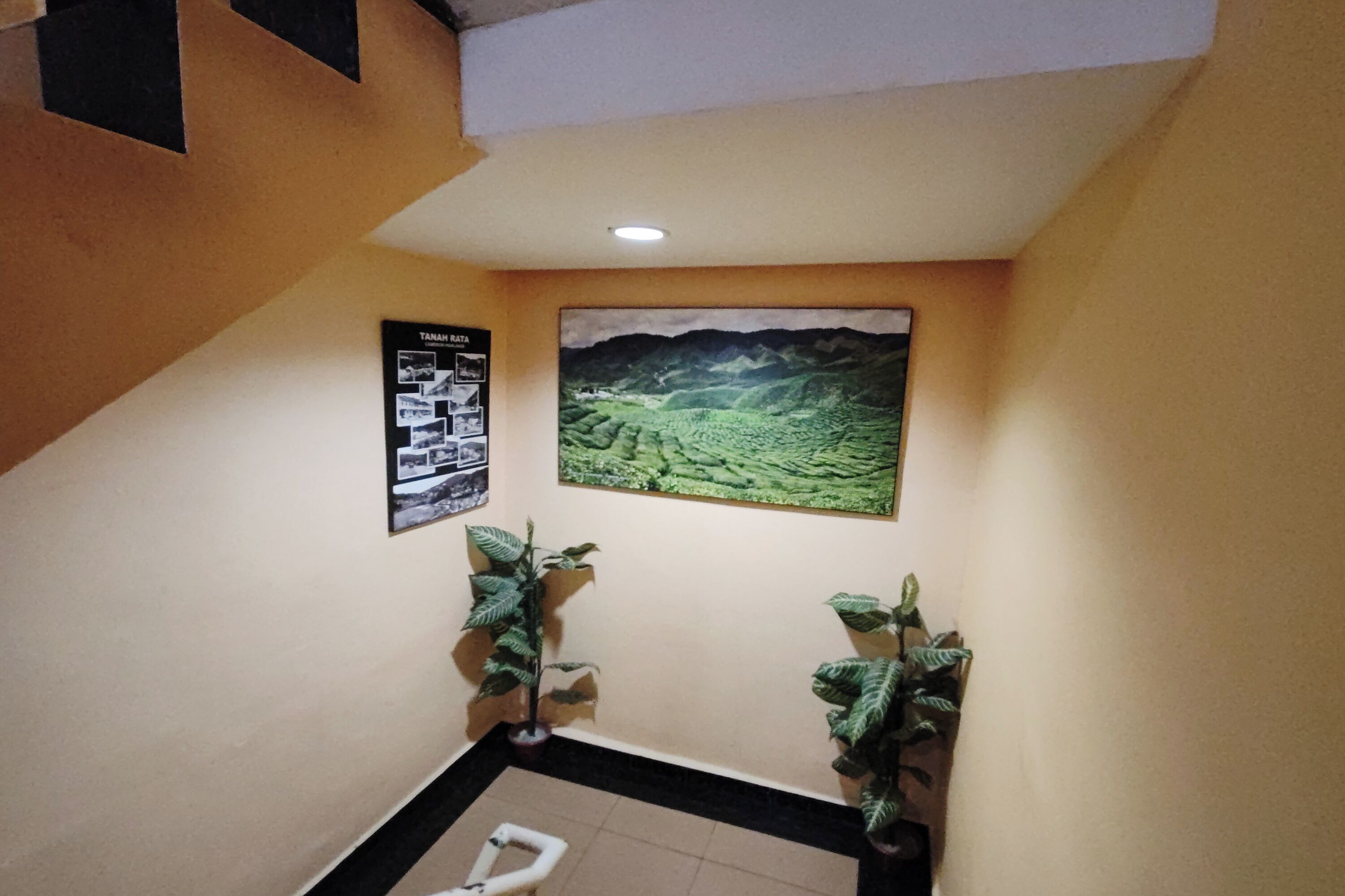 A staircase with a framed picture of a landscape and a sign with text.