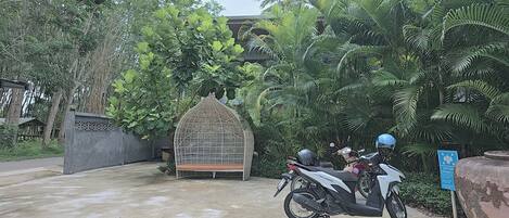 Free self parking
