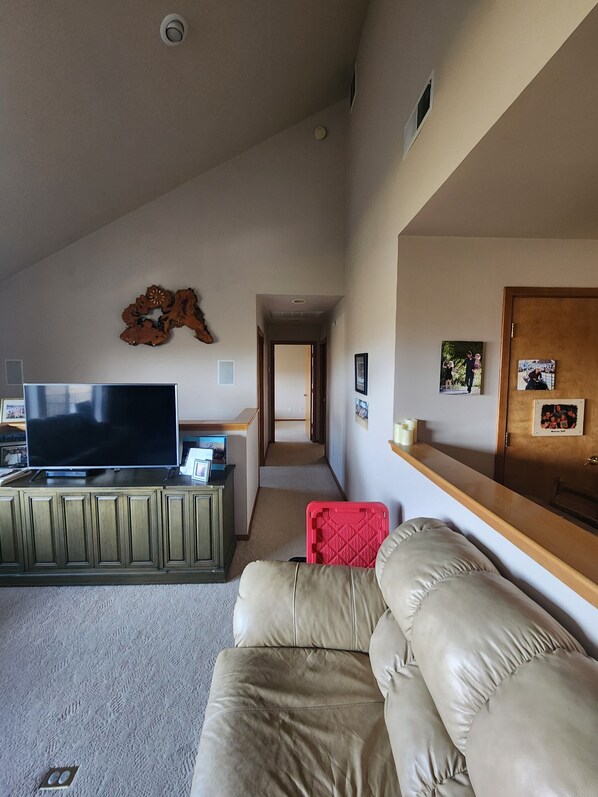 TV connectée, cheminée, livres