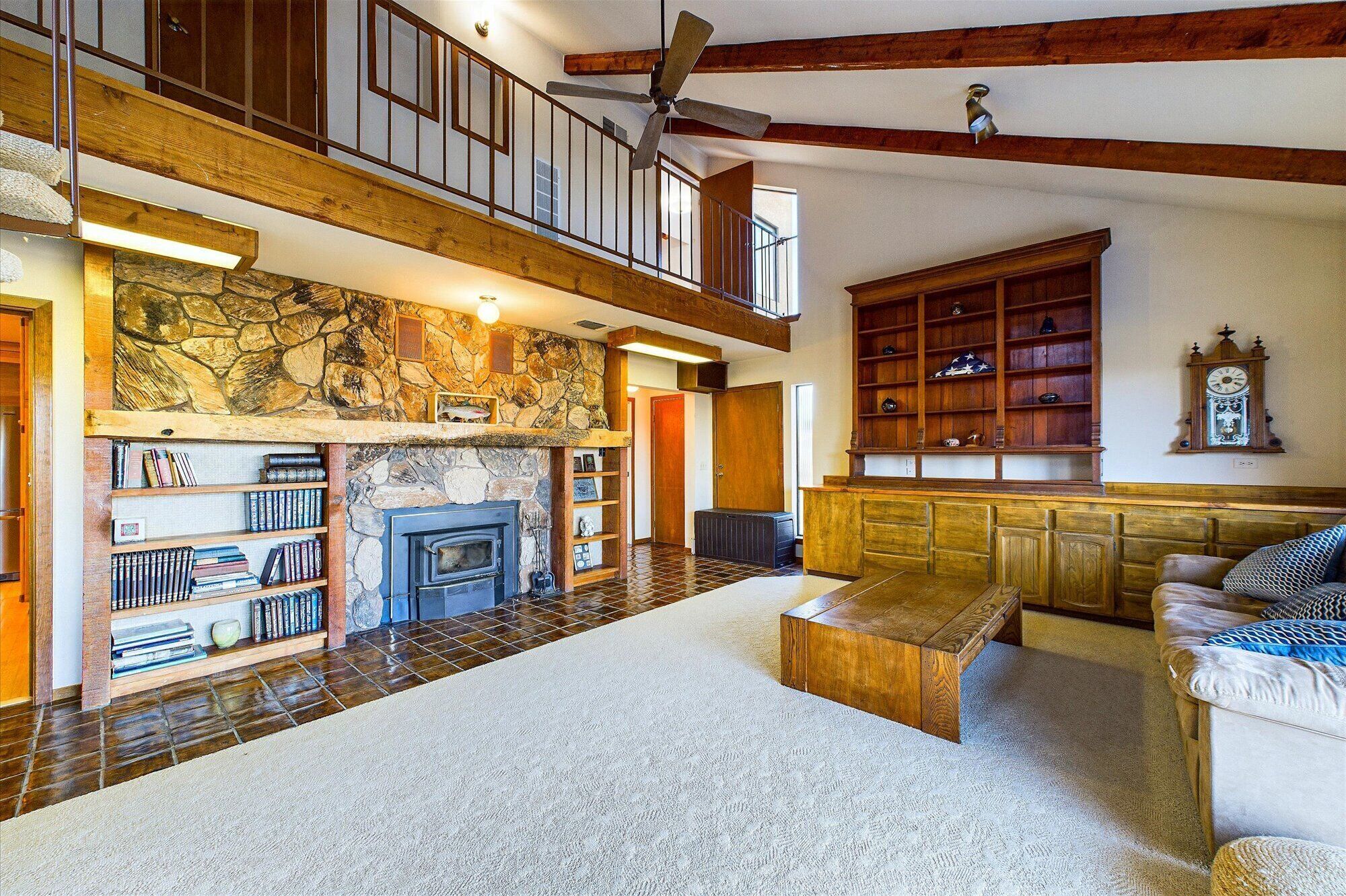 Smart TV, fireplace, books