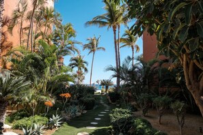 Property grounds - Amazing Beachfront Casa Del Mar Penthouse (San José del Cabo)