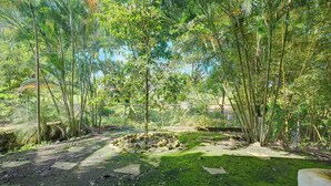 A naturalistic enclosure with dense foliage, a water feature, and a stone structure. - Pedasi Craftsman Home, Large Screened Deck, Walk to Town (Los Santos Province)