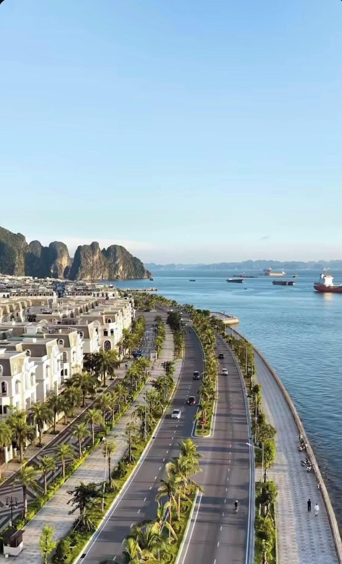 Una carretera costera con vista al mar, bordeada de palmeras y edificios.