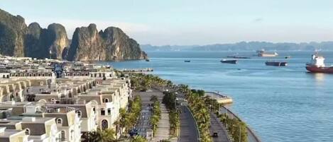 Una carretera costera con vista al mar, bordeada de palmeras y edificios.