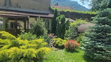 A courtyard with a stone wall, a building with a green door, and various plants.