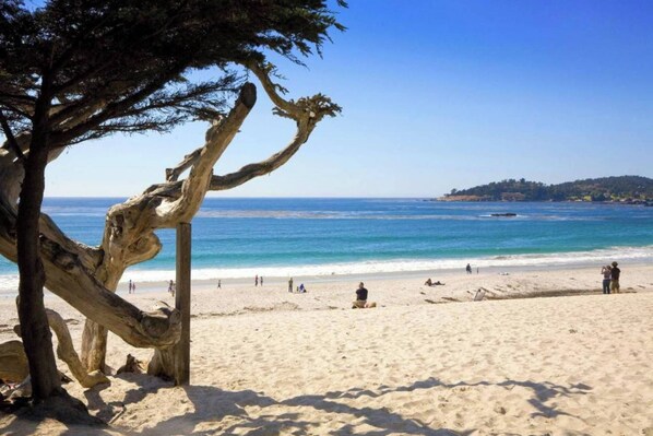 Playa en los alrededores