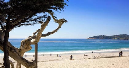Hyatt Carmel Highlands! Where Ocean Views and Family Memories Meet in Carmel!
