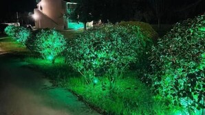 A nighttime view of a residential area with a house, green-lit bushes, and a paved road. - Marina studios (Corfu)