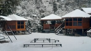 Basic Cabin - The Wild Planet - Treehouses & Cottages (Palampur)