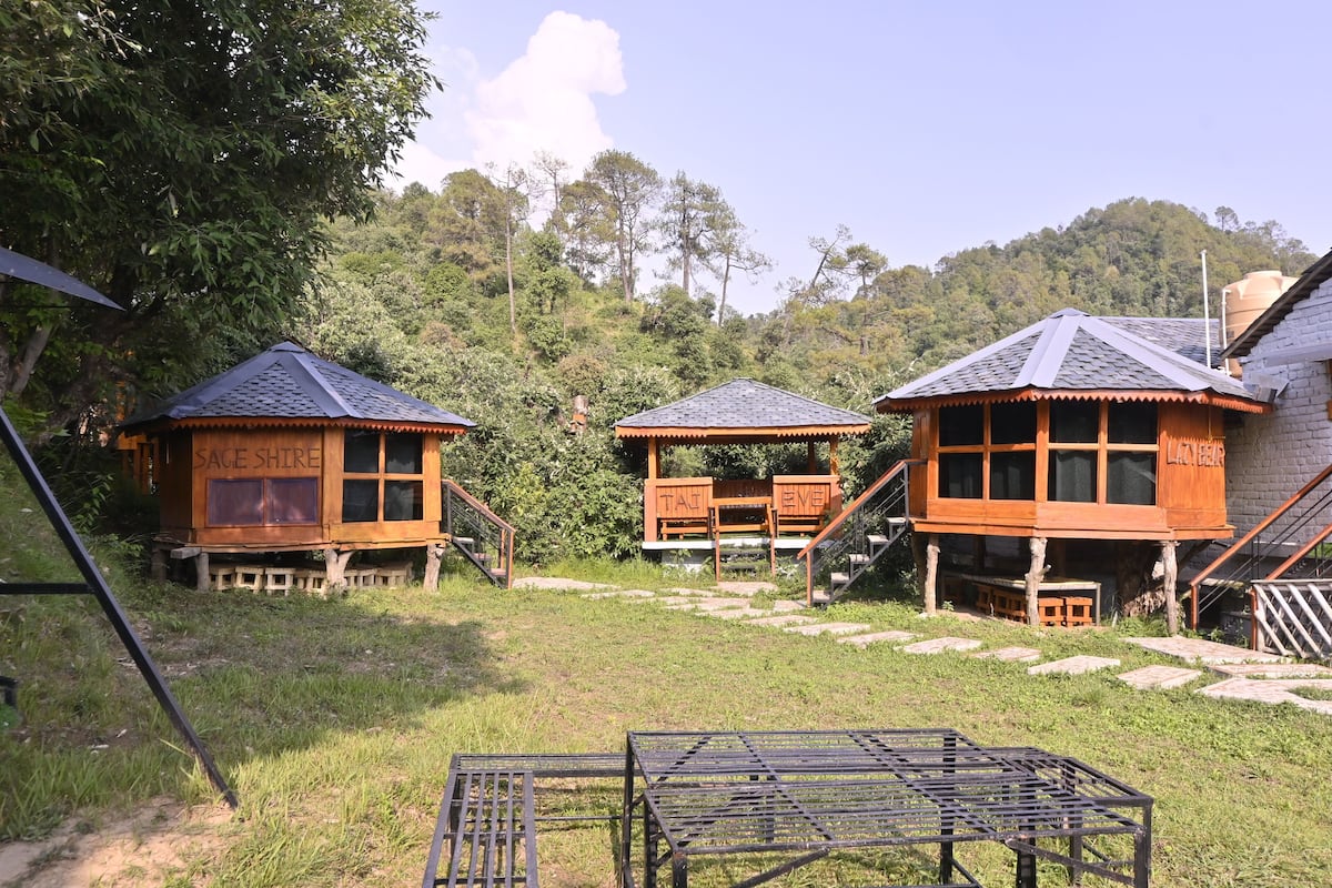 Basic Cabin