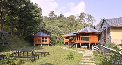 The Wild Planet - Treehouses & Cottages