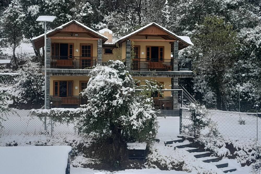 The Wild Planet - Treehouses & Cottages - Gehra