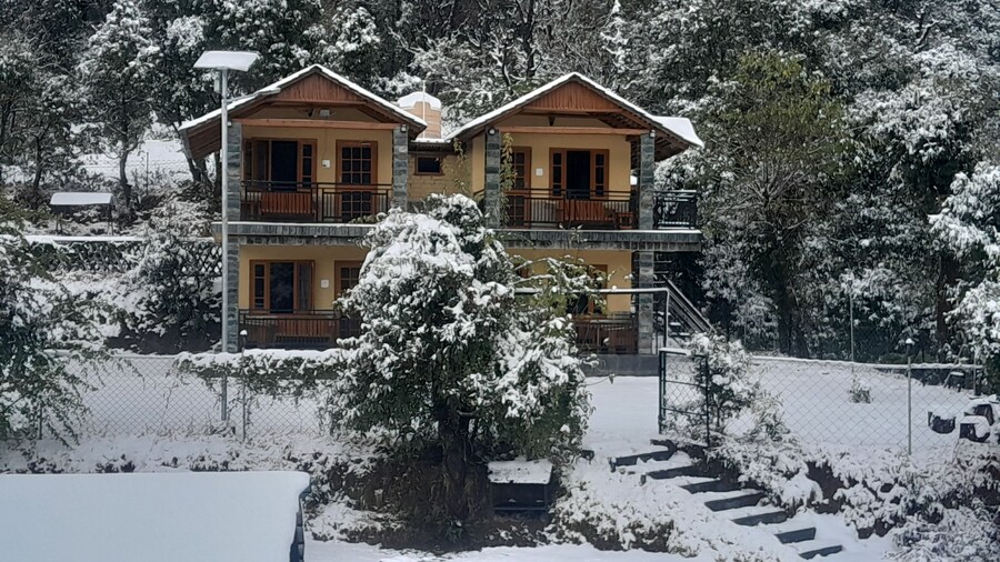 The Wild Planet - Treehouses & Cottages